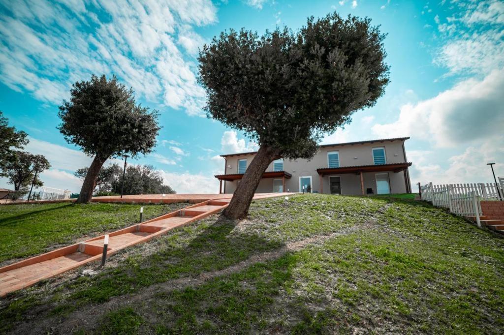 Agriturismo Il Colle Dei Lecci Ancona Eksteriør billede